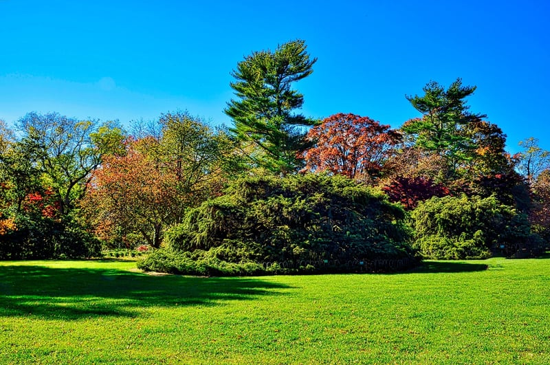 Fall Planting